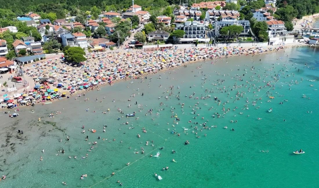  Kocaeli Büyükşehir Belediyesi